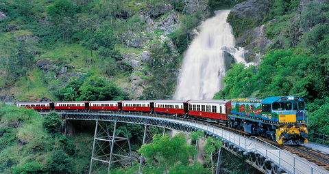 Classic Kuranda By Skyrail And Scenic Railway Including Rainforestation, Koala And Wildlife Park And Pamagirri Aboriginal Experi - Hervey Bay Accommodation 1