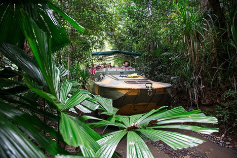 Classic Kuranda By Skyrail And Scenic Railway Including Rainforestation, Koala And Wildlife Park And Pamagirri Aboriginal Experi - Hervey Bay Accommodation 4