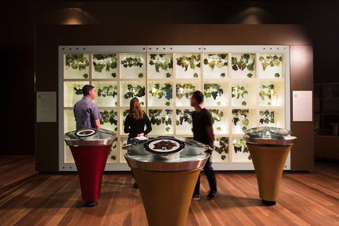 Australian Wine Discovery Tour With Tastings - Hervey Bay Accommodation 4