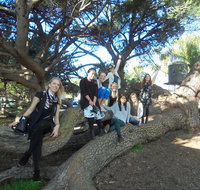 1/2 day Swan Valley Wine Cheese  Chocolate Tour Inc Afternoon Cruise to Perth - Hervey Bay Accommodation