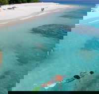 Fitzroy Island Day Trip from Cairns - Hervey Bay Accommodation
