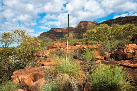6-Day Eyre Peninsula & Flinders Ranges Adventure Tour - Tourism Hervey Bay 1
