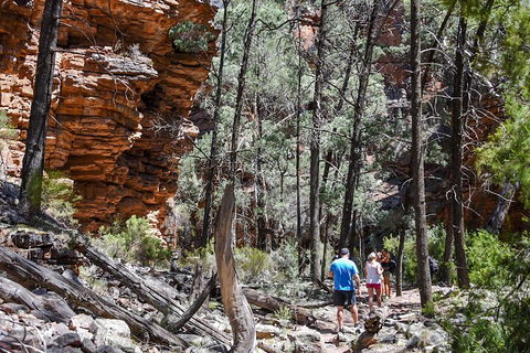 6-Day Eyre Peninsula & Flinders Ranges Adventure Tour - Tourism Hervey Bay 5