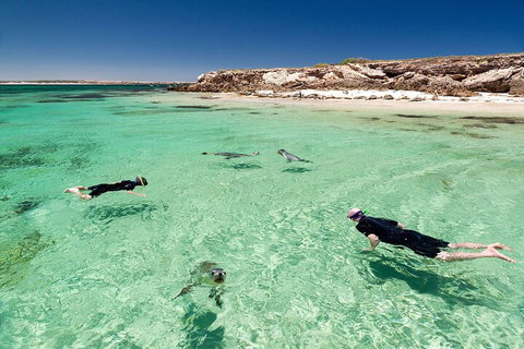10 Day Adelaide To Perth Private Tour - The Great Australian Wilderness Journey - Hervey Bay Accommodation 1
