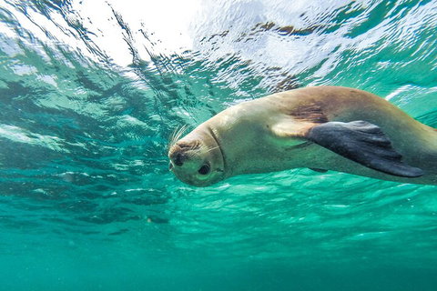 10-Day Adelaide To Perth Adventure Tour - Hervey Bay Accommodation 1