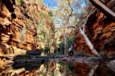 10-Day Adelaide To Perth Adventure Tour - Hervey Bay Accommodation 5