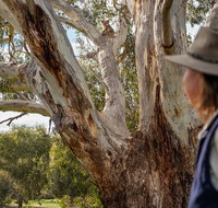 NEW TOUR - Kangaroo Island Road to Recovery Tour 1 Day/1 Night - Hervey Bay Accommodation