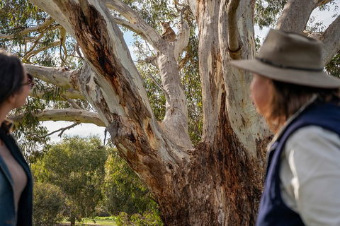 NEW TOUR - Kangaroo Island Road To Recovery Tour (1 Day/1 Night) - Hervey Bay Accommodation 0