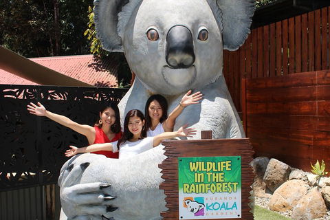 Kuranda Koala Gardens And Birdworld Admission Tickets - Hervey Bay Accommodation 3