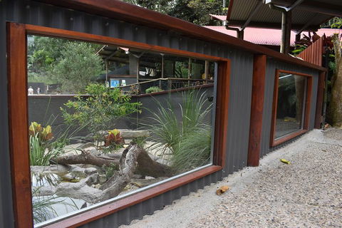 Kuranda Koala Gardens And Birdworld Admission Tickets - Hervey Bay Accommodation 4