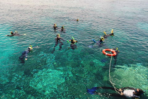 Seastar Luxury Outer Great Barrier Reef Island And Reef Tour From Cairns - Hervey Bay Accommodation 2