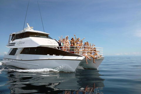 Seastar Luxury Outer Great Barrier Reef Island And Reef Tour From Cairns - Hervey Bay Accommodation 4
