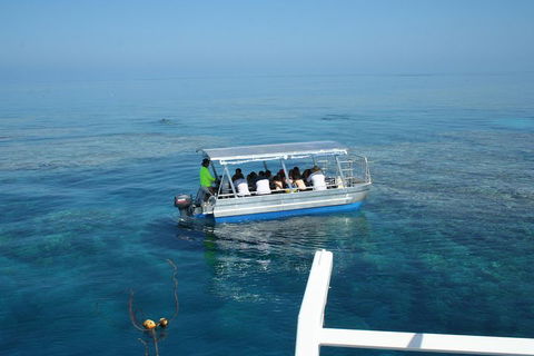 Seastar Luxury Outer Great Barrier Reef Island And Reef Tour From Cairns - Hervey Bay Accommodation 5