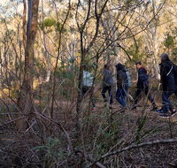 Wild Australian Wildlife 4WD Tour from Sydney - Hervey Bay Accommodation