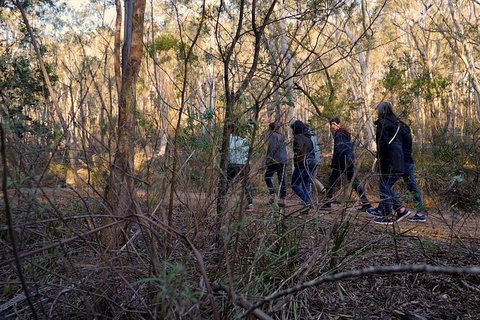 Wild Australian Wildlife 4WD Tour From Sydney - Hervey Bay Accommodation 0