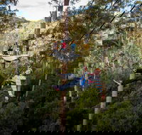 Hollybank Wilderness Adventure - Zipline Tours - Hervey Bay Accommodation