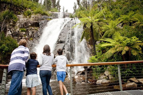 Melbourne Snow Trip To Lake Mountain With Chocolates Visit To A Waterfall - Tourism Hervey Bay 3