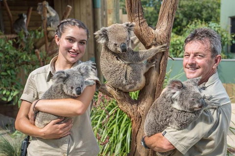 Sydney Wine Tour â€“ Wine, Waves & Wildlife In South Coast - Hervey Bay Accommodation 2