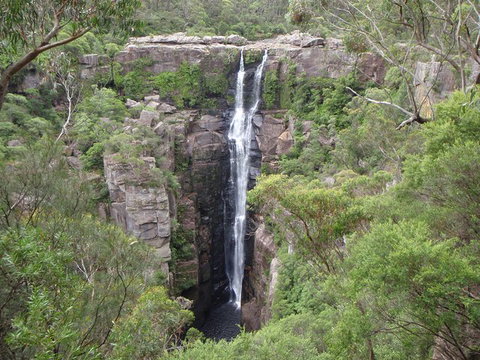 Sydney Wine Tour â€“ Wine, Waves & Wildlife In South Coast - Hervey Bay Accommodation 3