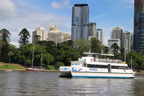 Lone Pine Koala Sanctuary Admission With Brisbane River Cruise - Hervey Bay Accommodation 2