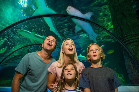 SEA LIFE Sunshine Coast Aquarium Entrance Ticket - Hervey Bay Accommodation 3