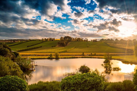 Josef Chromy Wines Winery Tour Including Tasting And Lunch - Hervey Bay Accommodation 3