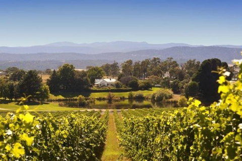Josef Chromy Wines Winery Tour Including Tasting And Lunch - Hervey Bay Accommodation 4