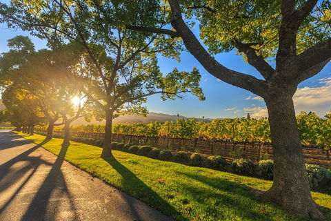 Very Best Of Perth Tour - Wildlife Park & City Highlights Tour - Hervey Bay Accommodation 2