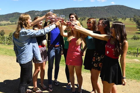 Hunter Valley Wine Tour From Sydney Incl Lunch, Cheese, Chocolate And Distillery - Hervey Bay Accommodation 3