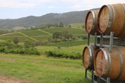 Hunter Valley Wine Tour From Sydney Incl Lunch, Cheese, Chocolate And Distillery - Hervey Bay Accommodation 5