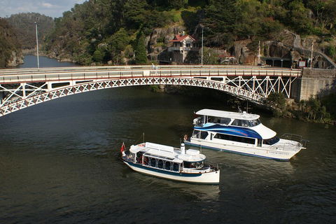 2.5 Hour Morning Discovery Cruise Including Sailing Into The Cataract Gorge - Hervey Bay Accommodation 5