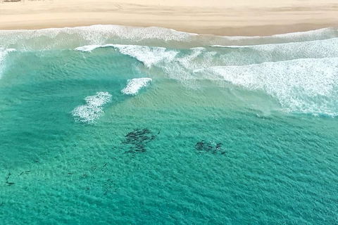 Coastal Helicopter Shared Flight - 20 Minutes - Tourism Hervey Bay 4