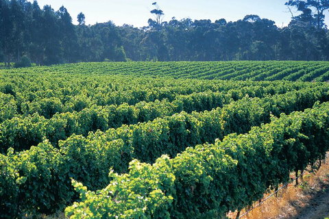 Swan Valley Private Tour - Hervey Bay Accommodation 1