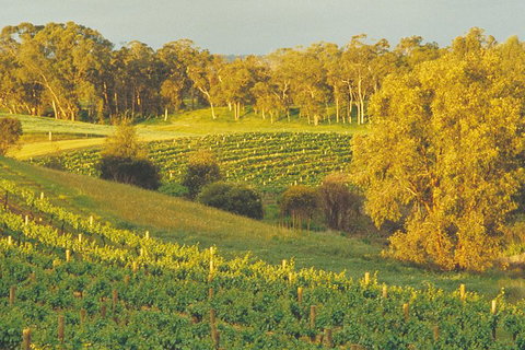Swan Valley Private Tour - Hervey Bay Accommodation 2
