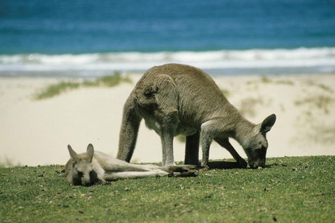 Great Ocean Road Highlights Tour - 2 Days, 1 Night - Hervey Bay Accommodation 2