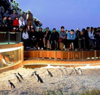 Great Ocean Road  Phillip Island - 3 Days 2 Nights - Hervey Bay Accommodation