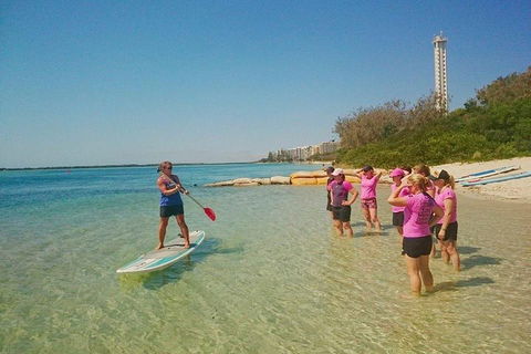 Golden Beach 1-Hour Stand-Up Paddleboard Hire On The Sunshine Coast - Hervey Bay Accommodation 1