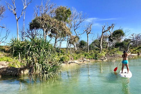 Golden Beach 1-Hour Stand-Up Paddleboard Hire On The Sunshine Coast - Hervey Bay Accommodation 5