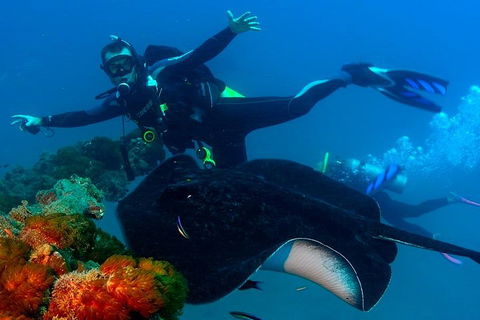 Scuba Dive The S.S. Yongala Wreck On The Great Barrier Reef. - Hervey Bay Accommodation 0