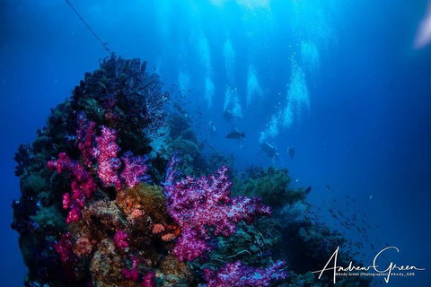 Scuba Dive The S.S. Yongala Wreck On The Great Barrier Reef. - Hervey Bay Accommodation 2