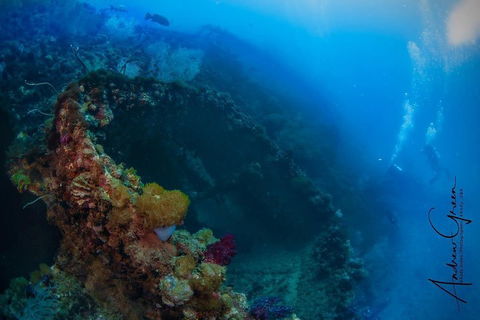 Scuba Dive The S.S. Yongala Wreck On The Great Barrier Reef. - Hervey Bay Accommodation 3