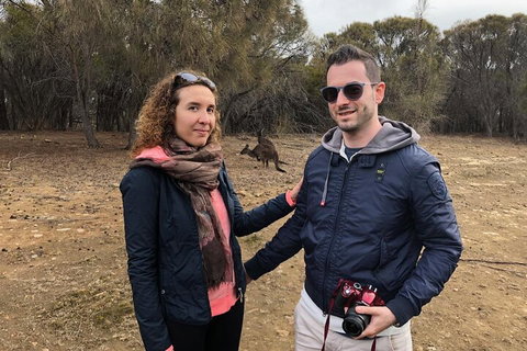 Kangaroo Island 4WD Tour - Best Of KI - Hervey Bay Accommodation 3