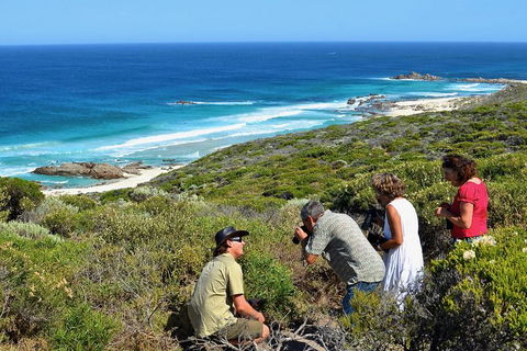 Margaret River Coastal And Wildlife Eco Trip From Busselton Or Dunsborough - Hervey Bay Accommodation 2