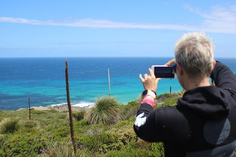 Margaret River Coastal And Wildlife Eco Trip From Busselton Or Dunsborough - Hervey Bay Accommodation 3